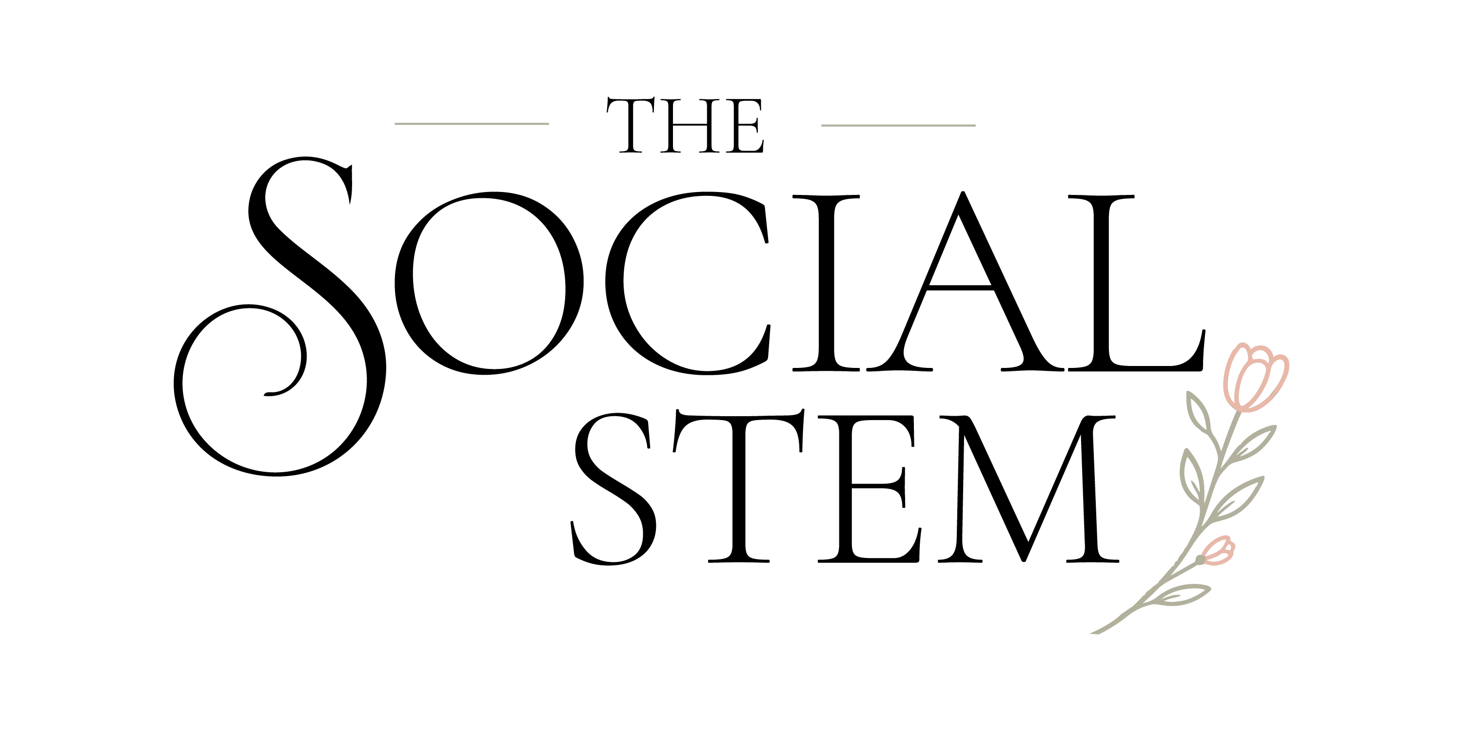 The Social Stem